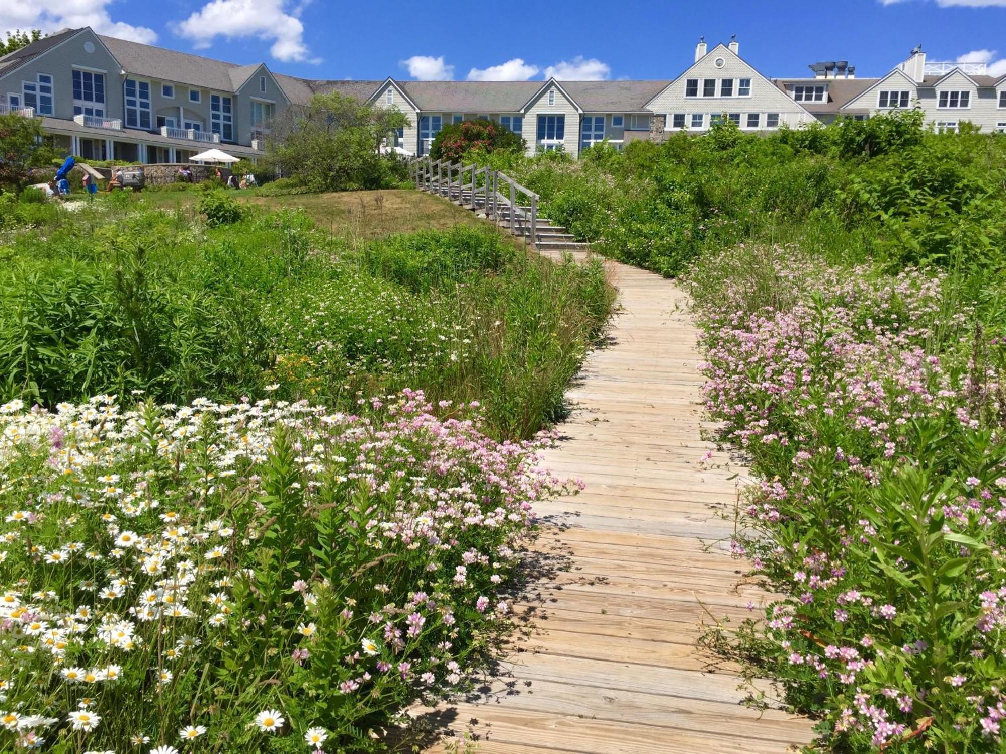 Inn By The Sea Cape Elizabeth Exterior photo